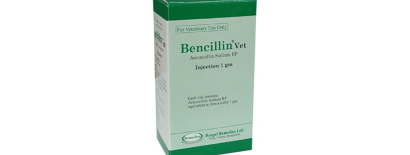 Bencillin® Vet Injection