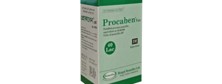 Procaben Vet Injection