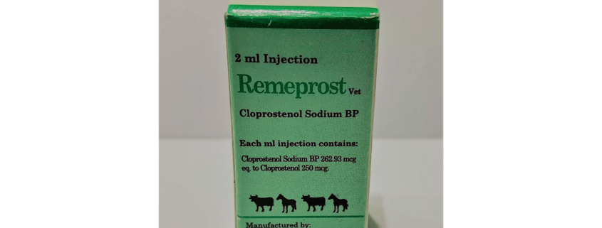 Remeprost Vet injection