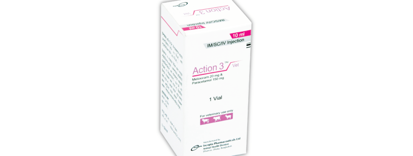 Action 3 (Meloxicam & Paracetamol )