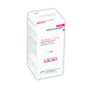 Action 3 (Meloxicam & Paracetamol )