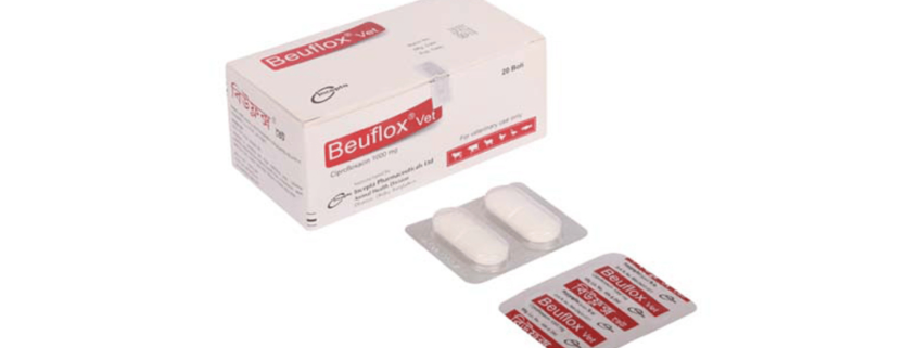 Beuflox Vet bolus(Ciprofloxacin)