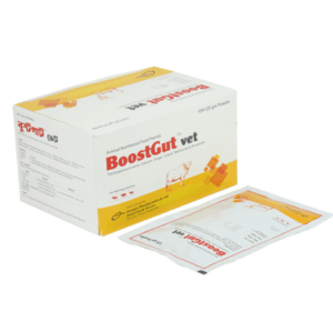 BoostGut vet Powder
