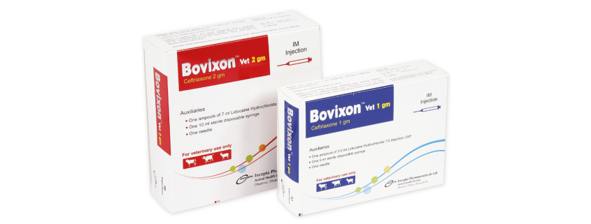 Bovixon Vet(Ceftriaxone)