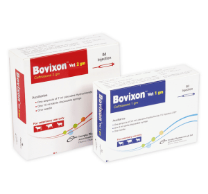 Bovixon Vet(Ceftriaxone)
