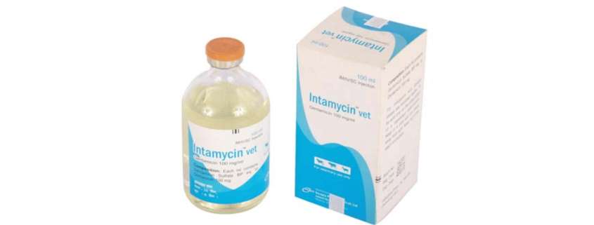 Intamycin vet injection(Gentamicin)